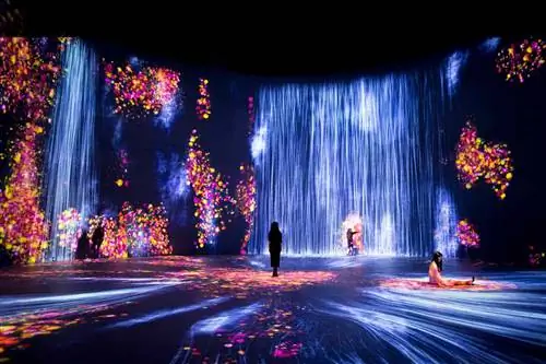 teamLab, Выставка «Каждая стена - это дверь», 2021, Superblue Miami, Майами, Флорида