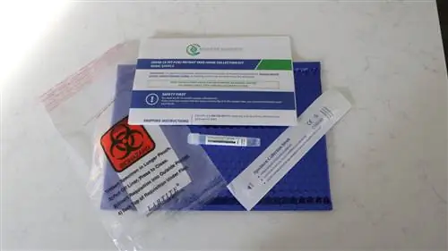 Единый тест на COVID-19