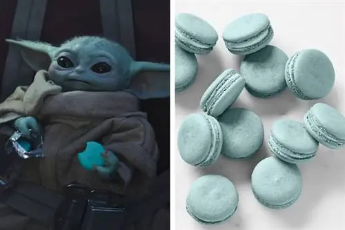 Мандалорские закуски Disney Star Wars Baby Yoda