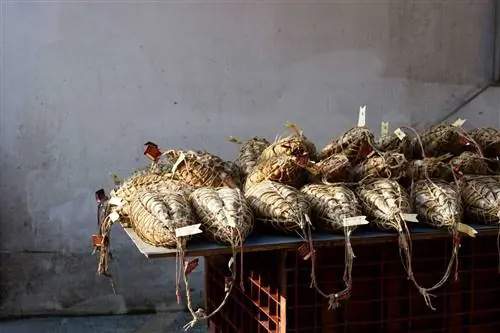 Вяленая ветчина, culatellos в Antica Corte Pallavicina в Эмилии-Романье.