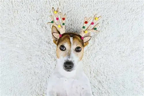 55 праздничных подписей и цитат для Instagram