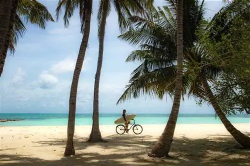 Девушка едет на велосипеде по тропическому острову в поисках прибоя