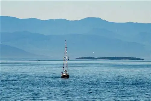 Фотографии североамериканца Берта, который проплыл вокруг света без компаса и вернулся домой к своей семье.