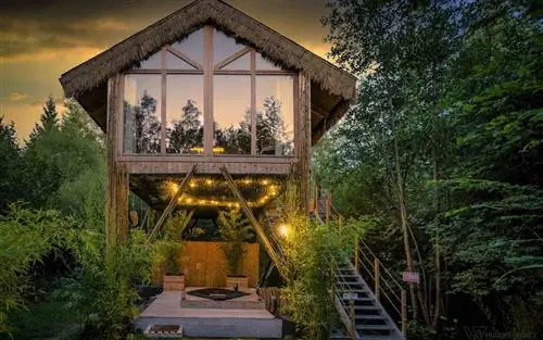 лофт airbnb в лесу
