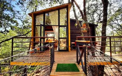 дом на дереве airbnb со стеклянной дверью и деревянным мостом