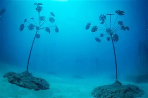 Высокие скульптуры под водой у Большого Барьерного рифа