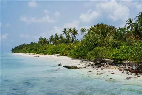 Береговая линия и пляж для местных жителей острова Дигура в атолле Каафу на Мальдивах