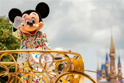 Мир Уолта Диснея во время глобальной пандемии, гости и меры предосторожности