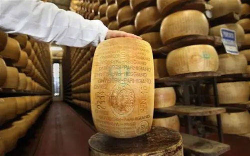 Колесо сыра пармезан