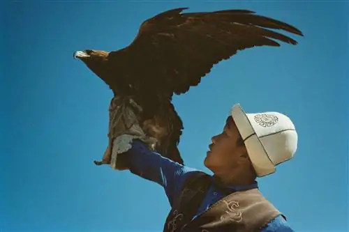 Охотник на орлов и его орел на фоне ярко-голубого неба