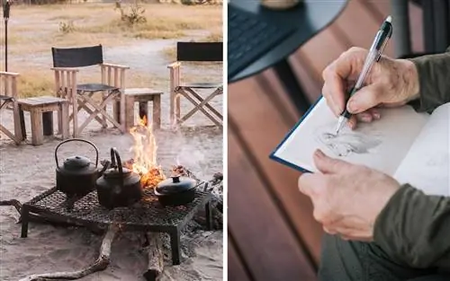 Сафари отца и дочери в Ботсване и Зимбабве