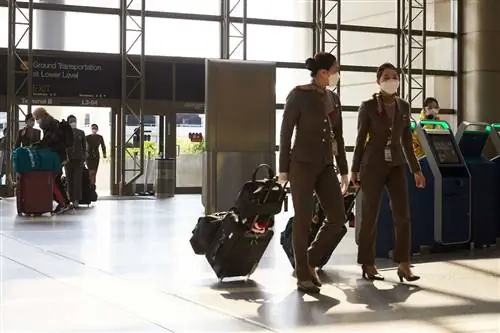 Стюардессы