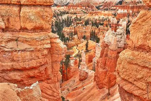 Поход в национальный парк Брайс-Каньон по тропе Квинс-Гарден.