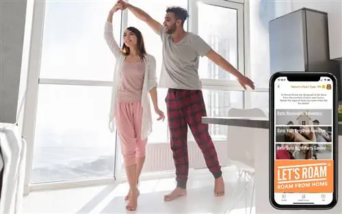 Приложение Roam Tout