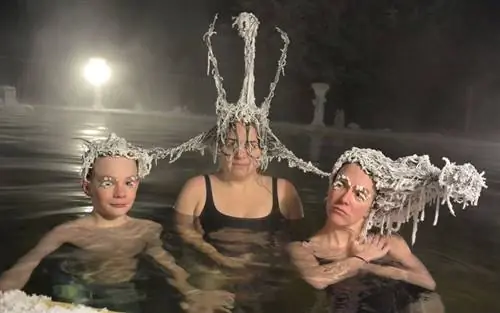 участники конкурса группового замораживания волос