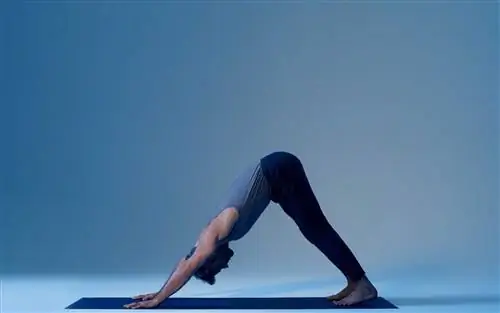 Equinox предлагает ритуалы AM и PM онлайн, это поза из AM Ritual.