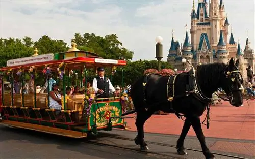Как сэкономить на отдыхе в Disney World и Диснейленде этим летом