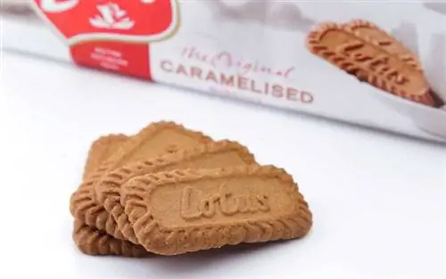 Упаковка и кусочки оригинального карамелизированного печенья Lotus Biscoff