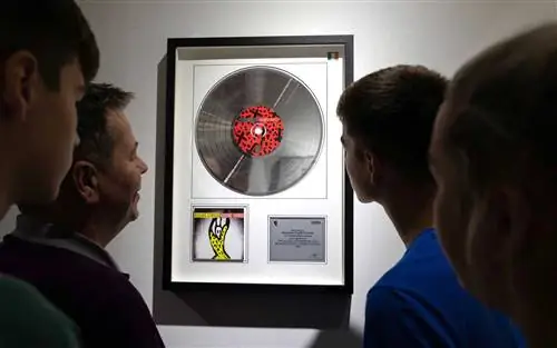 Студия звукозаписи Windmill Lane в Дублине