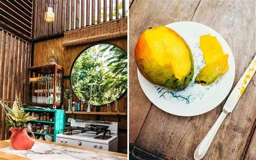 Кухня ресторана отеля Finca Victoria и частично очищенный манго из собственности отеля.