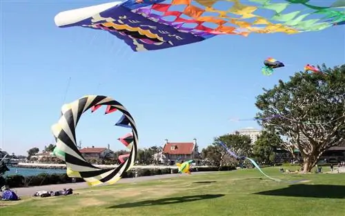 Воздушные змеи Seaport Village летают в Сан-Диего Воздушные змеи Seaport Village летают в Сан-Диего