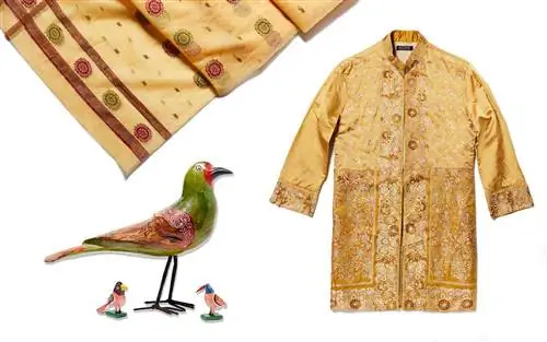 Ян Бретт о путешествии в Индию для своей книги «Сказка о тигровых туфлях».