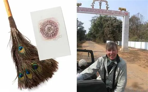 Посмотрите на волшебное сафари по индийскому тигру глазами любимой детской писательницы Яна Бретта