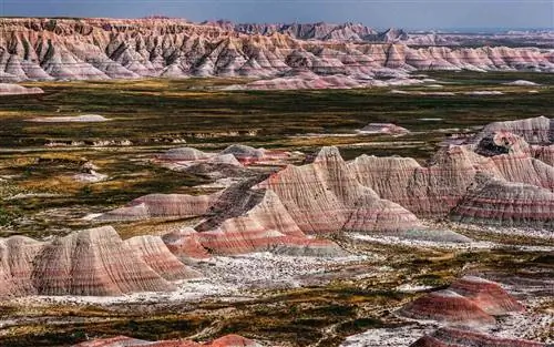 Бесплодные земли