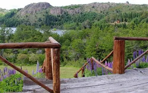 Отель Laguna Larga Lodge предоставляет вам доступ к национальному парку Лос-Алерсес, который находится всего в нескольких шагах от отеля.