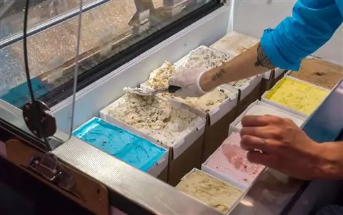 Мороженое Макса и Мины