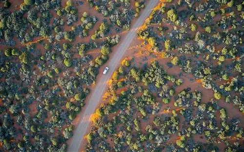 Проезжая через национальный парк Франсуа Перона, недалеко от Денхэма