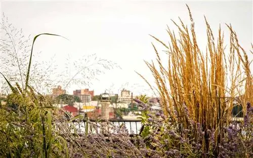 Прогулки по Нью-Йорку