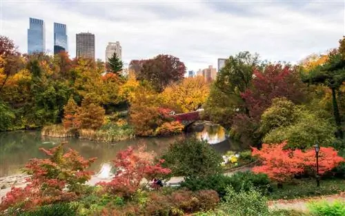 Прогулки по Нью-Йорку