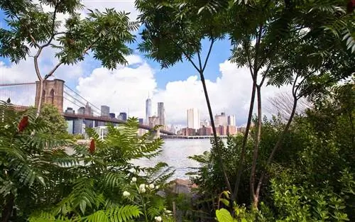 Прогулки по Нью-Йорку