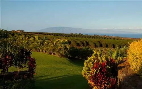 Мауи, Гавайи