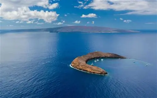 Мауи, Гавайи