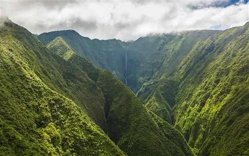 Мауи, Гавайи