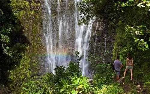 Мауи, Гавайи