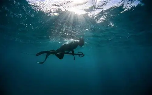 Мауи, Гавайи