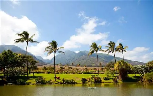 Мауи, Гавайи