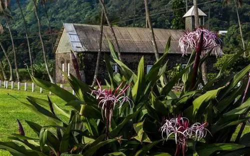 Мауи, Гавайи