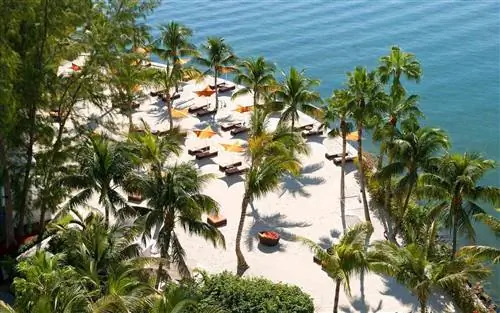 Путеводитель по Майами по личностям