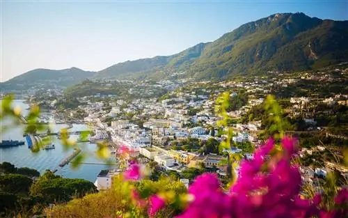 Этот итальянский остров обладает гламуром Капри без толпы