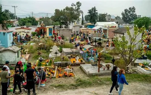 День мертвых в Мехико