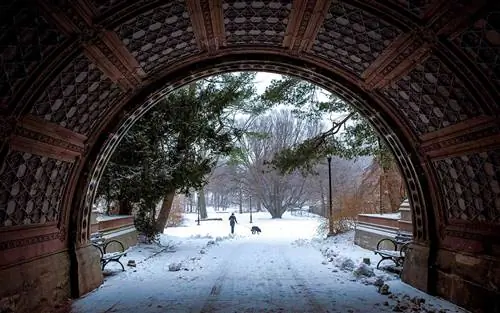 Проспект Парк, Бруклин