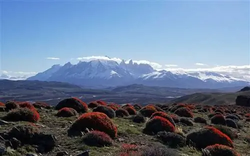 Лучший способ познакомиться с Патагонией, по мнению эксперта по путешествиям
