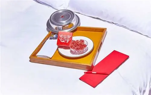 Стандартные жевательные конфеты CBD