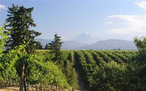 Лучшие места для Дня памяти по версии Yelp