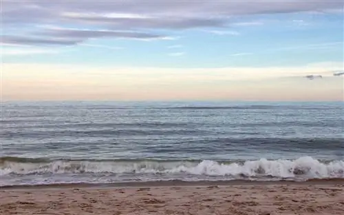 Лучшие места для Дня памяти по версии Yelp