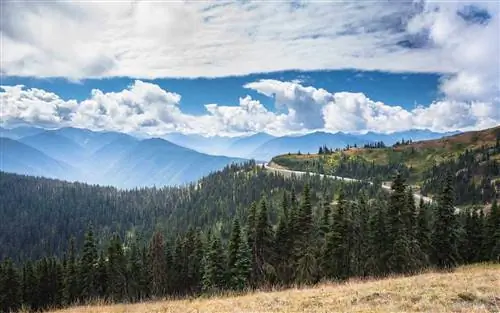 Лучшие места для Дня памяти по версии Yelp